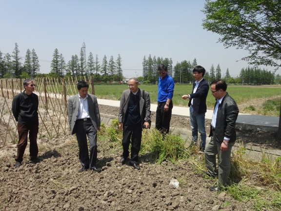 校村合作建基地 服务群众促发展――记女同av
党总支赴松江区泖港镇腰泾村实地考察
